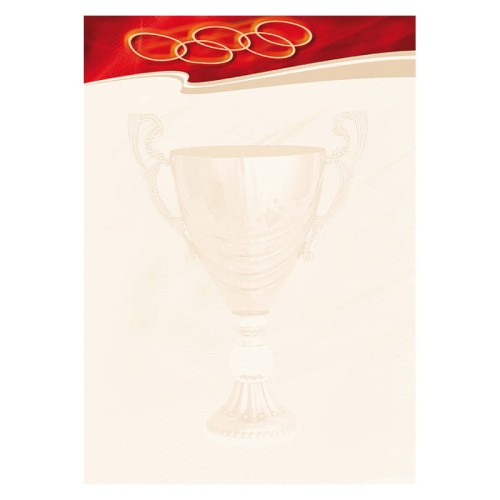 Przejdź do produktu Dyplom A4 GALERIA PAPIERU 170 g/m² - Sport - 25 ark.