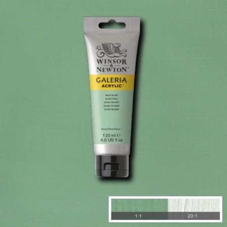 Farba akrylowa WINSOR & NEWTON Galeria 120 ml (435 - Pale Olive)