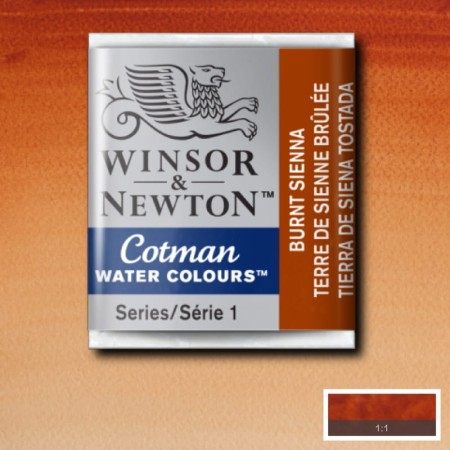 Akwarela w kostce Winsor & Newton Cotman (074 - Burnt Sienna)