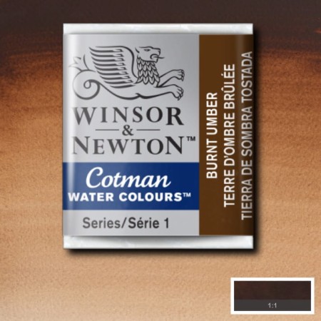 Akwarela w kostce Winsor & Newton Cotman (076 - Burnt Umber)