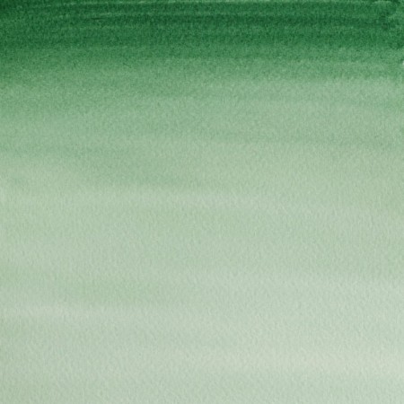 Akwarela w kostce Winsor & Newton Cotman (312 - Hookers Green Dark)