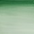 Akwarela w kostce Winsor & Newton Cotman (312 - Hookers Green Dark)