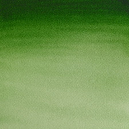 Akwarela w kostce Winsor & Newton Cotman (314 - Hookers Green Light)