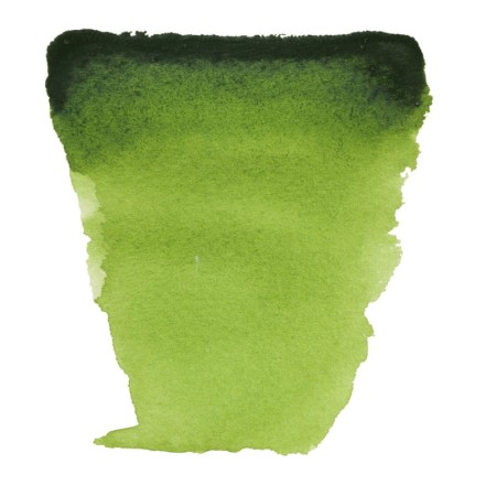 Farba akwarelowa VAN GOGH 10 ml (623 - Sap Green)