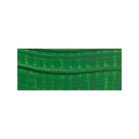Farba olejna RENESANS 60 ml (70 - lak zielony jasny)