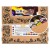 Farby akrylowe RENESANS Maxi Acril 60 ml - 12 sztuk