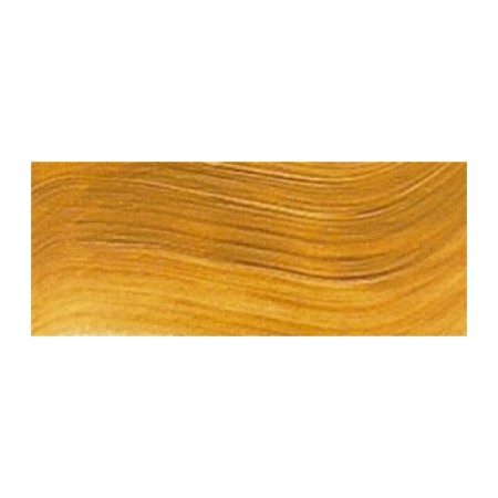 Farba akrylowa RENESANS Maxi Acril 60 ml (34 - ugier żółty)