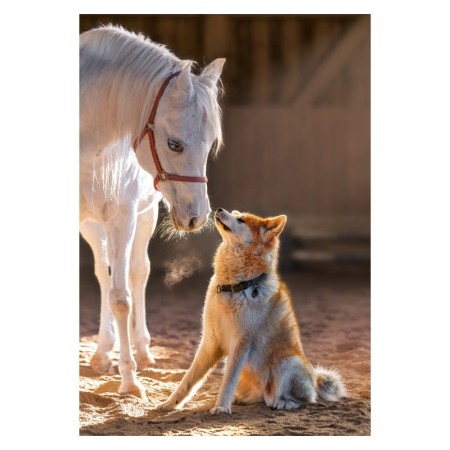 Puzzle CASTORLAND 1000 - Unique Friendship