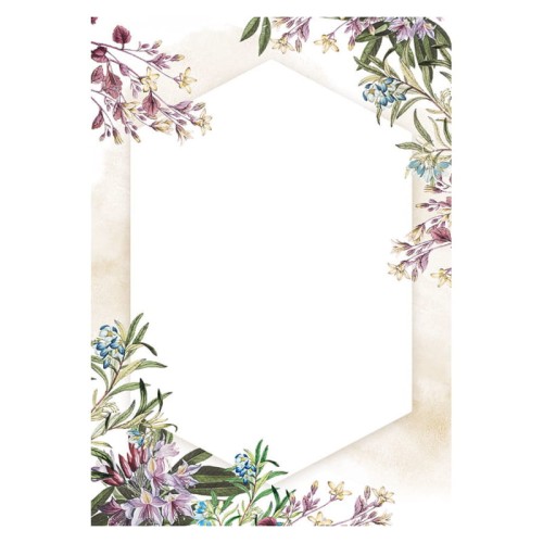 Przejdź do produktu Dyplom A4 GALERIA PAPIERU 170 g/m² - Umbria - 25 ark.