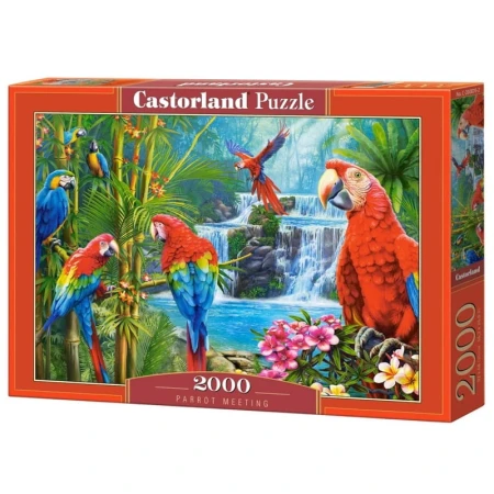 Puzzle CASTORLAND 2000 - (Parrot Meeting)