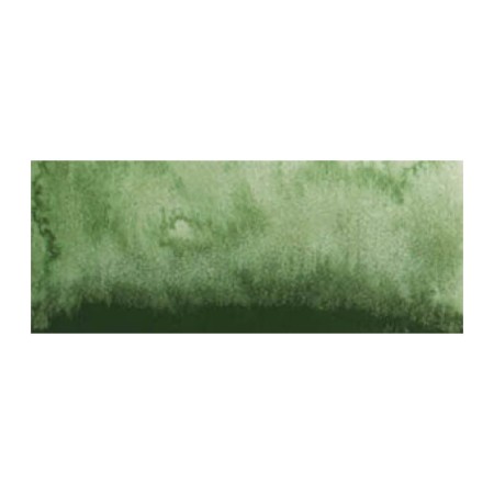 Farba akwarelowa RENESANS Intense Water 15 ml (47 - zieleń Hookera)