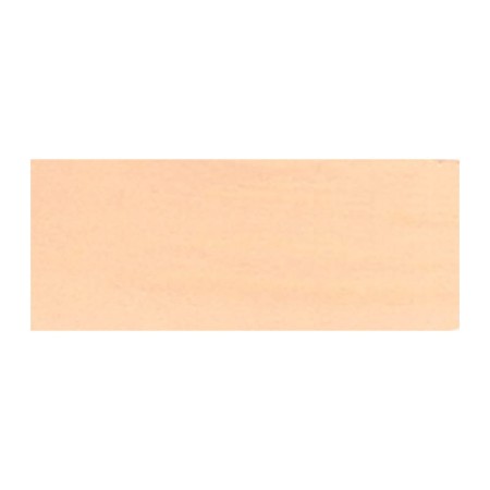 Farba gwasz RENESANS 20 ml (05 - cielisty)