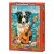 Puzzle CASTORLAND 500 - Collie, Guitar and the Sea