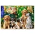 Puzzle CASTORLAND 500 - Puppies, Laundry and Bird Antics