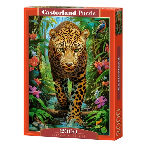 Przejdź do produktu Puzzle CASTORLAND 2000 - Leopard in the Wild
