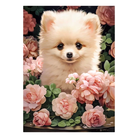 Puzzle CASTORLAND 300 - Pomeranian Puppy in Roses