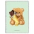 zeszyt a4 trzy linie dwukolorowe narcissus teddies misie pistacjowy