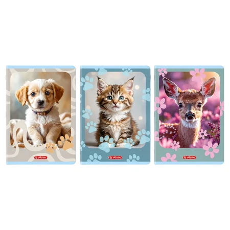 zeszyt a4 trzy linie dwukolorowe herlitz 32 kartki animals zwierzaki