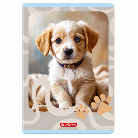 zeszyt a4 trzy linie dwukolorowe herlitz 32 kartki animals pies