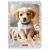 zeszyt a4 trzy linie dwukolorowe herlitz 32 kartki animals pies