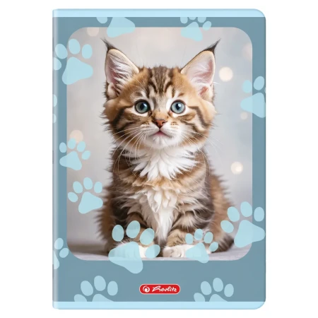 zeszyt a4 trzy linie dwukolorowe herlitz 32 kartki animals kot