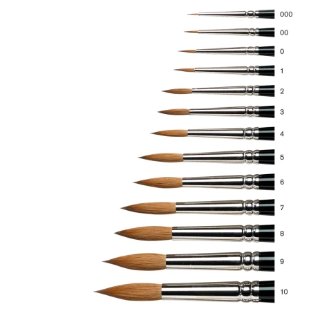 Winsor Newton Series 7 Kolinsky - porównanie rozmiarów pędzli