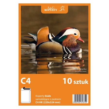 Koperty białe C4 HK (10 sztuk)