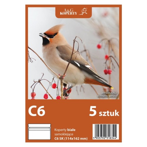 Przejdź do produktu Koperty białe C6 SK (5 sztuk)