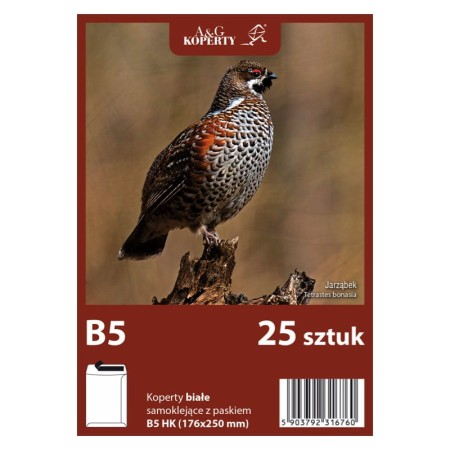 Koperty białe B5 HK (25 sztuk)