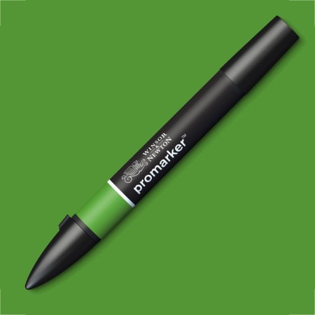 Promarker Winsor & Newton G356 (forest green)