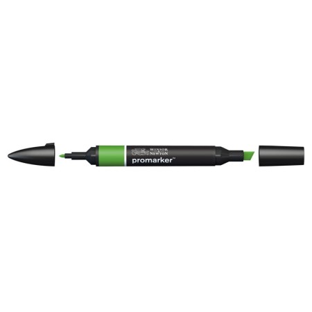 Promarker Winsor & Newton G356 (forest green)