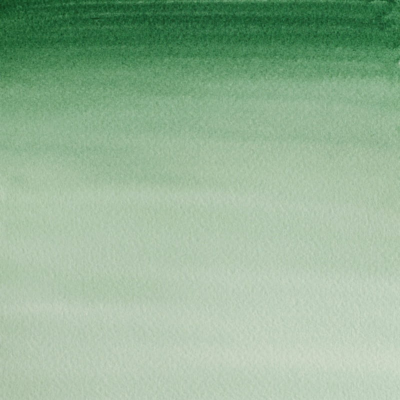 Akwarela w kostce Winsor & Newton Cotman (312 - Hookers Green Dark)