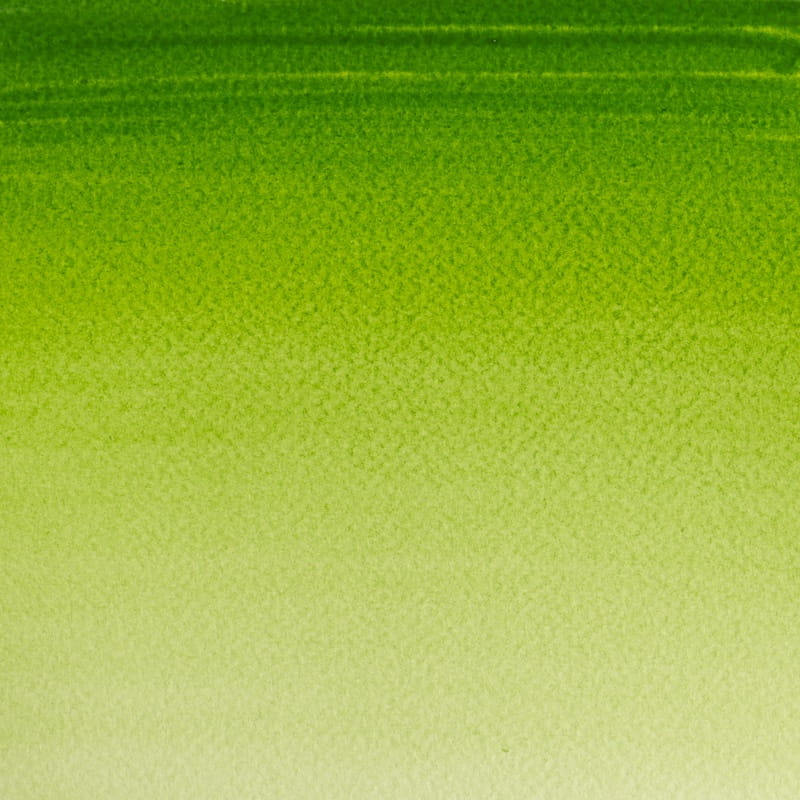 Akwarela w kostce Winsor & Newton Cotman (599 - Sap Green)