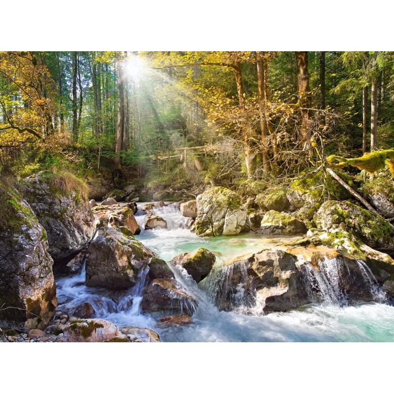 Puzzle CASTORLAND 2000 - (The Forest Stream)