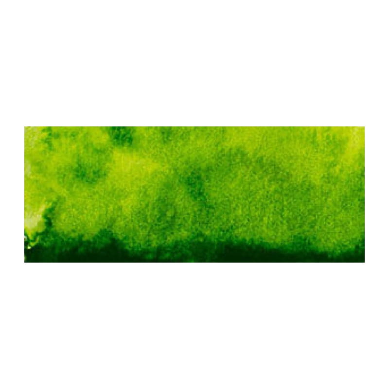 Farba akwarelowa RENESANS Intense Water 15 ml (40 - zieleń soczysta)
