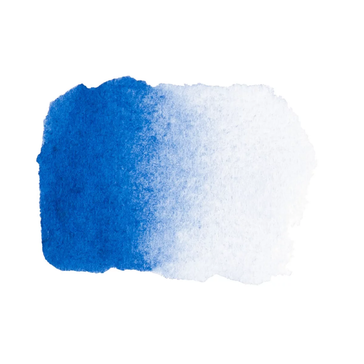 21 (2).webp