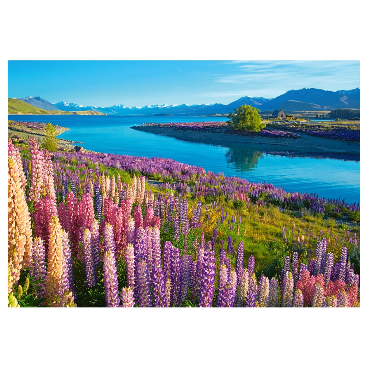 Puzzle CASTORLAND 500 - Lake Tekapo, New Zealand