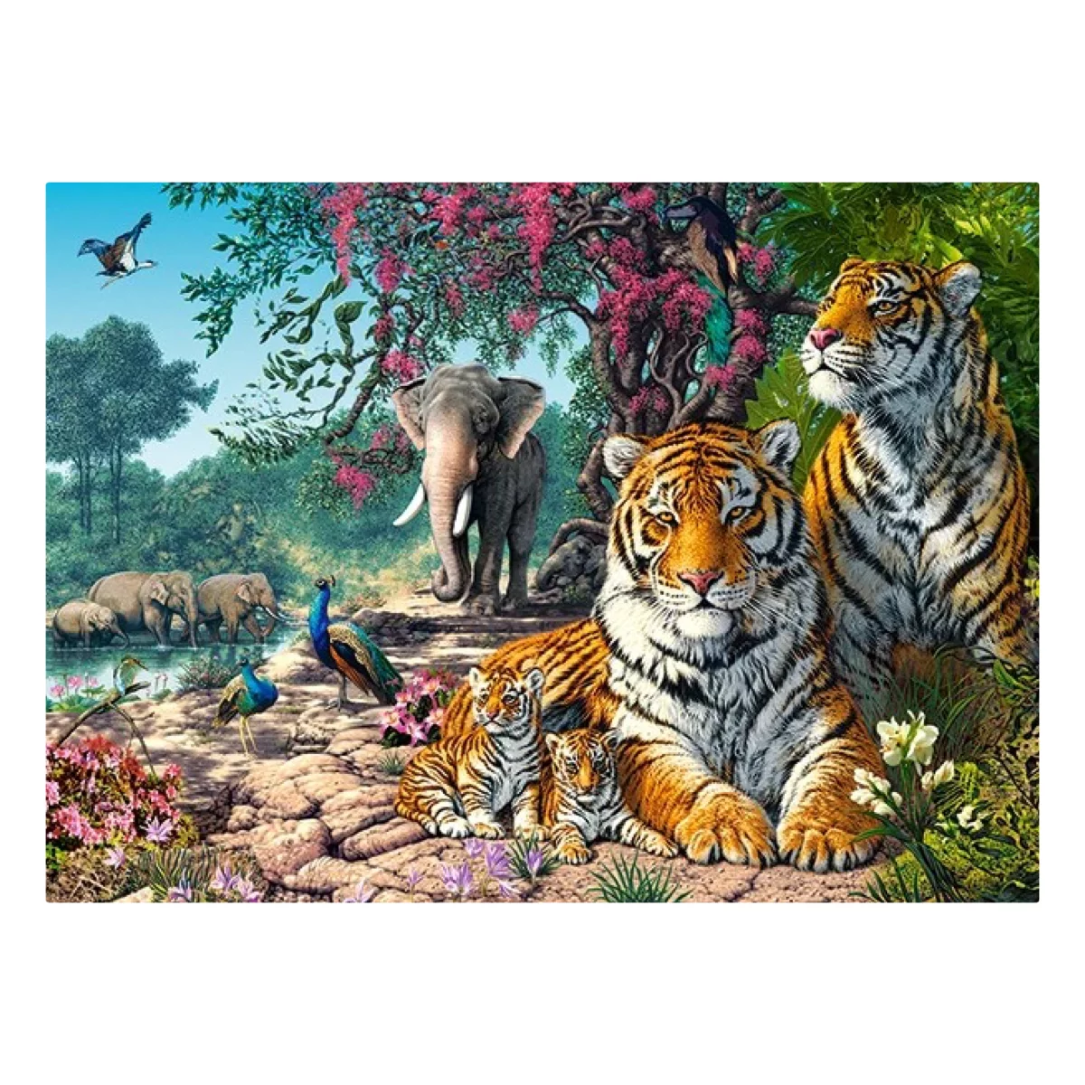 Puzzle CASTORLAND 300 - Tiger Sanctuary