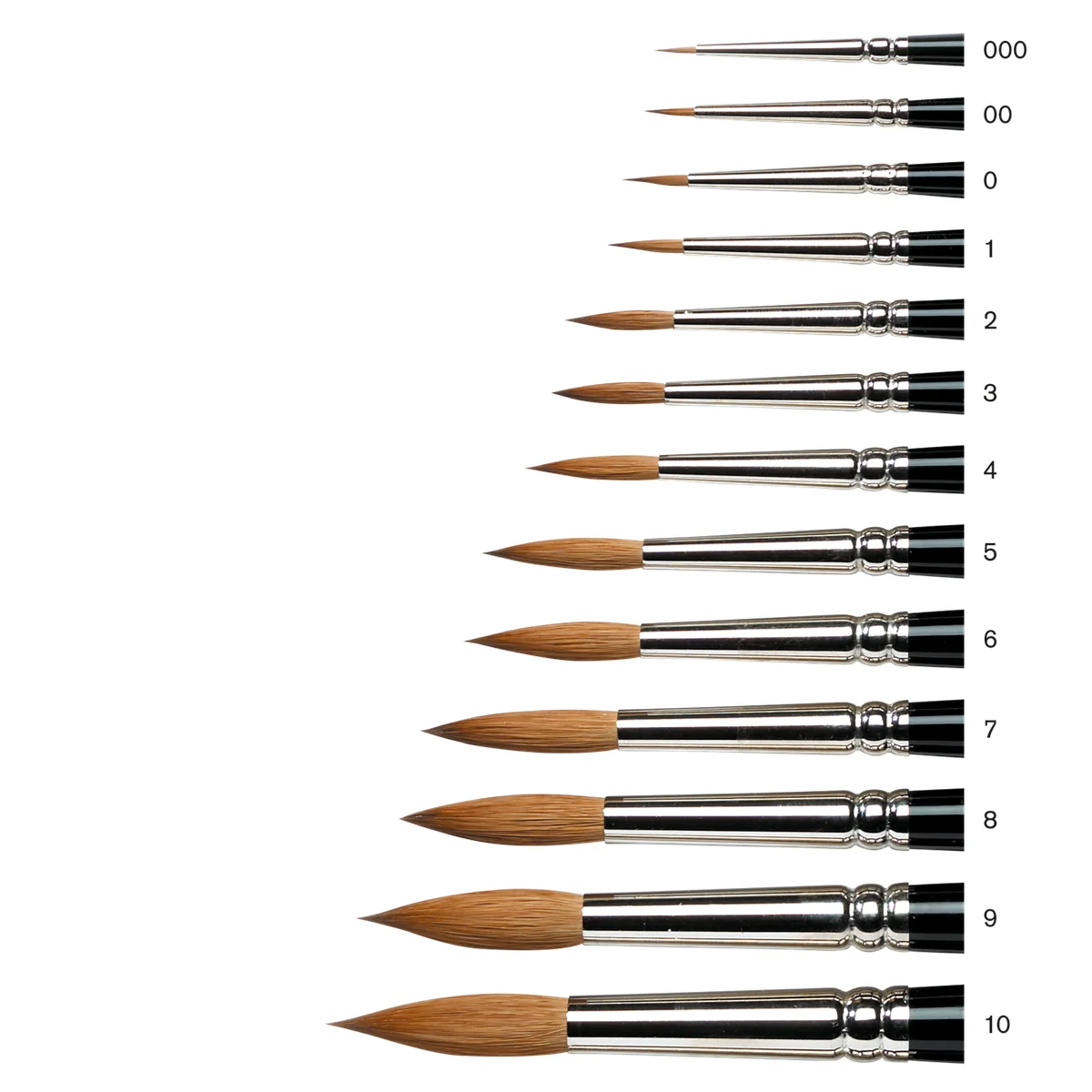 Winsor Newton Series 7 Kolinsky - porównanie rozmiarów pędzli